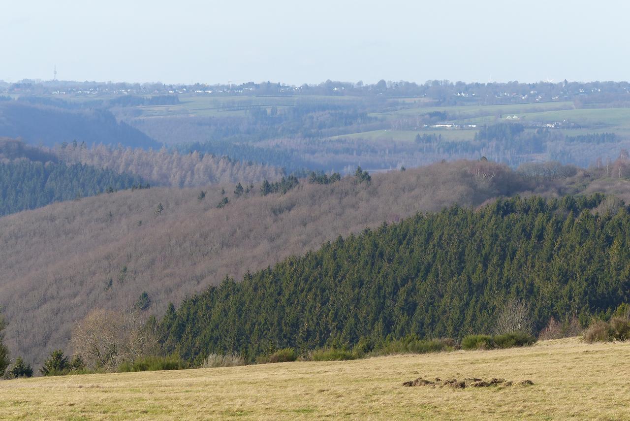 Chalets Am National Park Eifel Schleiden Esterno foto